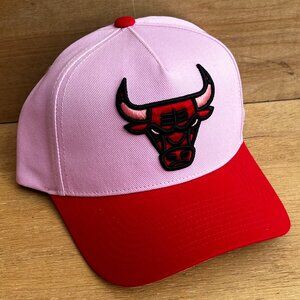MITCHELL & NESS NBA CHICAGO BULLS 1966-1996 30 YEARS SNAPBACK HAT NEW